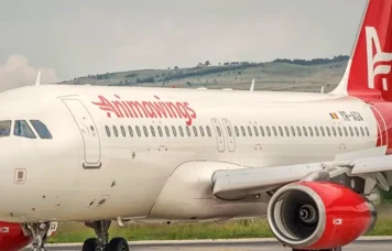 AnimaWings cere din nou intrarea în insolvență. Când va fi judecată solicitarea
