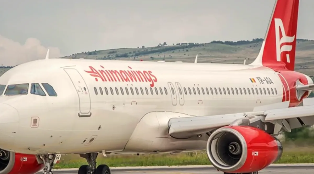 AnimaWings cere din nou intrarea în insolvență. Când va fi judecată solicitarea